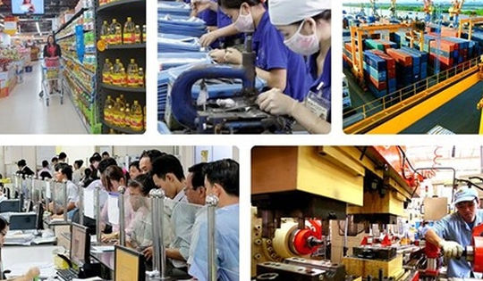 Hỗ trợ doanh nghiệp khu vực tư nhân kinh doanh bền vững Hỗ trợ doanh nghiệp khu vực tư nhân kinh doanh bền vững