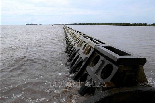 Tiếp tục nghiên cứu, hoàn thiện dự thảo Nghị định quy định lấn biển