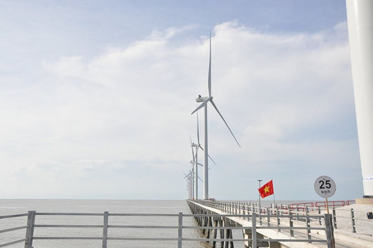 Tạo thuận lợi cho nhà đầu tư triển khai dự án điện gió ngoài khơi
