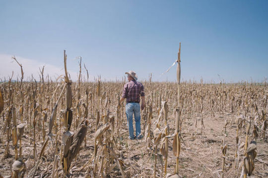 Hạn hán nghiêm trọng gây áp lực lên an ninh lương thực toàn cầu