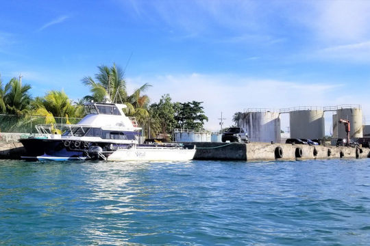 Nhiều sai phạm tại Tập đoàn Dầu khí Liên bang Micronesia