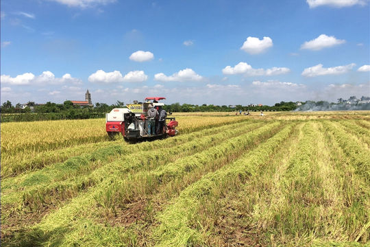 Cơ giới hóa đồng bộ hướng tới nền nông nghiệp bền vững