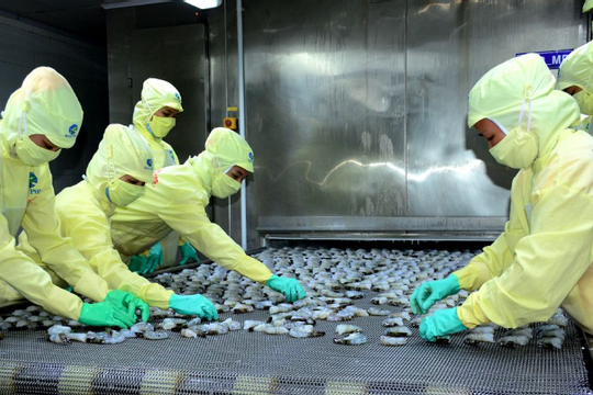 Cà Mau: Tập trung thực hiện các nhiệm vụ kinh tế - xã hội theo đúng kế hoạch đề ra