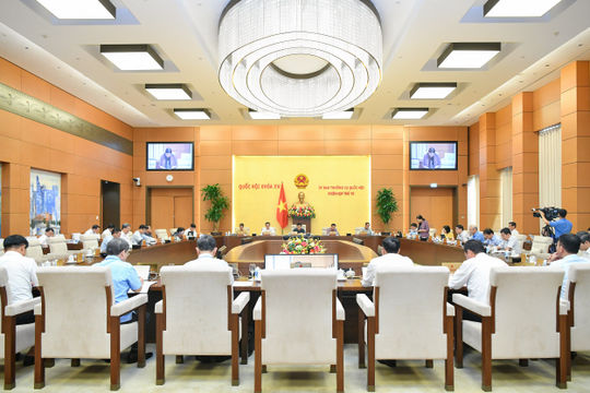 Tăng cường thanh tra, kiểm toán lĩnh vực đấu thầu, đấu giá, đất đai