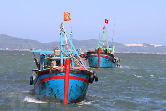 8 giải pháp chống khai thác hải sản bất hợp pháp, không báo cáo và không theo quy định