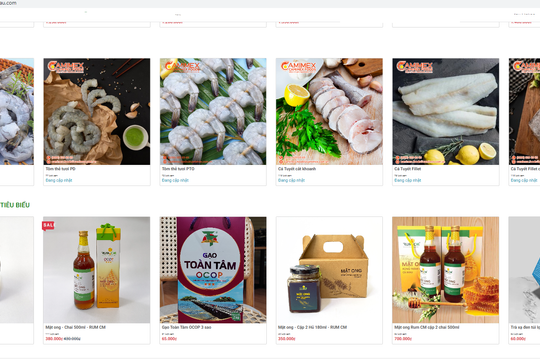 Cà Mau: Cần tạo động lực để doanh nghiệp tham gia thương mại điện tử