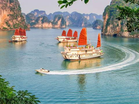 Quảng Ninh: Thu ngân sách đạt dự toán Quảng Ninh: Thu ngân sách đạt dự toán