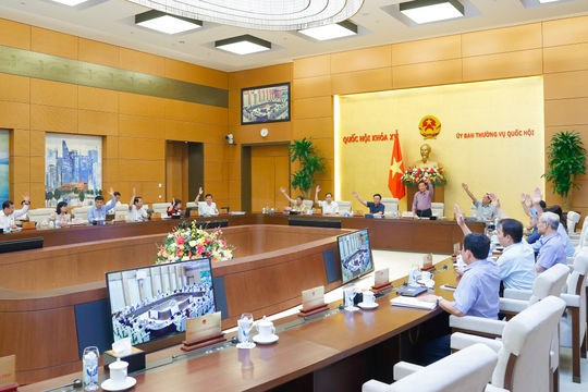 Trình Quốc hội Dự thảo Nghị quyết về thí điểm đấu giá biển số ô tô Trình Quốc hội Dự thảo Nghị quyết về thí điểm đấu giá biển số ô tô