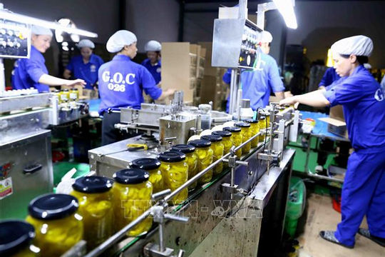 Động lực tăng trưởng của ngành thực phẩm - đồ uống giúp doanh nghiệp lạc quan về triển vọng kinh doanh