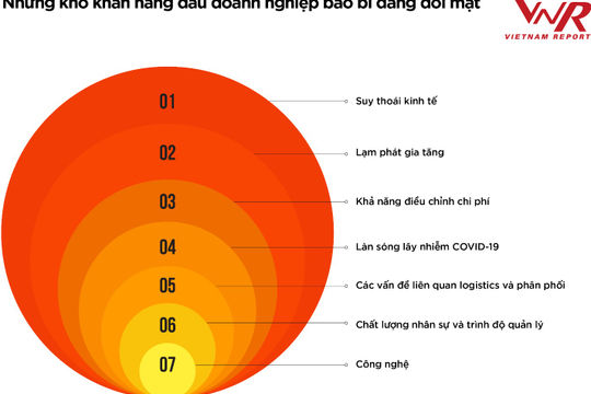 Kinh tế hàng hóa thúc đẩy ngành công nghiệp bao bì phát triển
