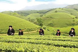 Đến năm 2030, tổng thu ngân sách vùng Trung du và miền núi Bắc Bộ đạt 190 nghìn tỷ đồng