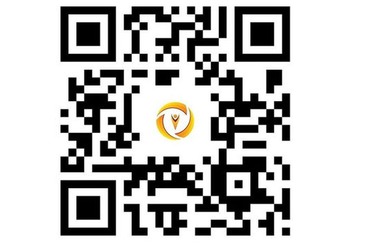 Phổ cập bộ nhận diện Ngày Chuyển đổi số quốc gia 10/10