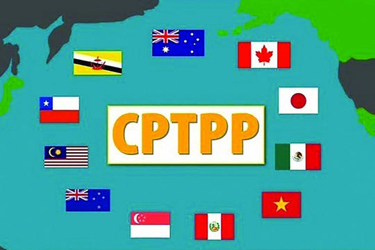 Kỳ vọng Hiệp định CPTPP sớm có hiệu lực với tất cả 11 nước thành viên