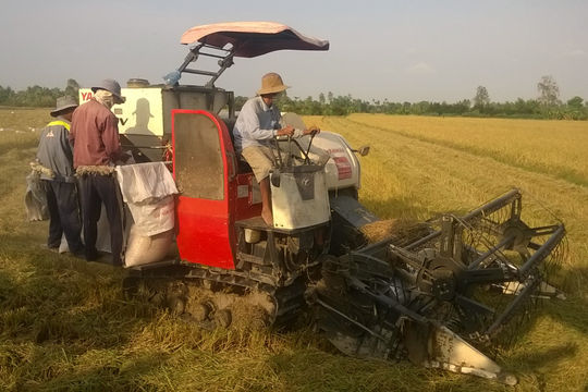 Xây dựng chuỗi cung ứng, phát triển nông nghiệp bền vững Vùng đồng bằng sông Cửu Long