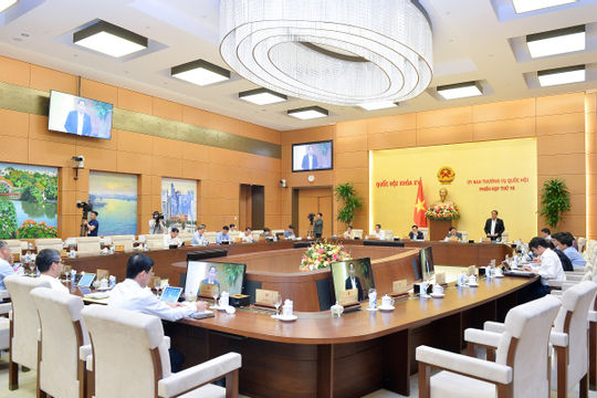 Bảo đảm công khai, minh bạch, đúng phạm vi thí điểm đấu giá biển số ô tô