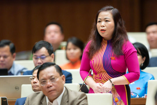 Tránh tư duy nhiệm kỳ dẫn đến lãng phí đất đai