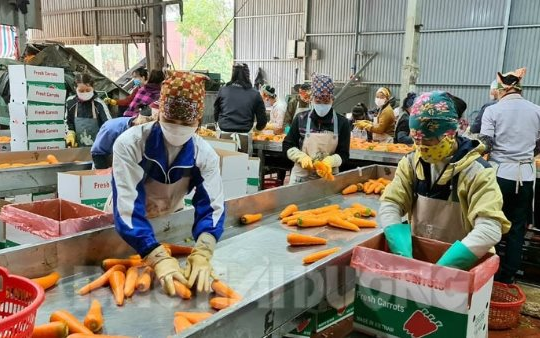 Hải Dương phấn đấu đạt mục tiêu giảm nghèo đa chiều, bao trùm, bền vững