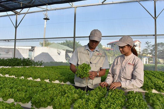 Gia Lai ban hành kế hoạch phát triển kinh tế tuần hoàn