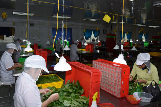 Thúc đẩy sự phát triển của mô hình kinh tế hợp tác xã trong nền kinh tế Thúc đẩy sự phát triển của mô hình kinh tế hợp tác xã trong nền kinh tế