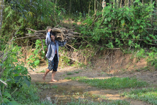 Ireland hỗ trợ phụ nữ miền núi Việt Nam phát triển sinh kế