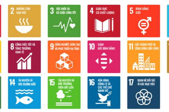 Rủi ro không tuân thủ quy định về môi trường và vai trò của kiểm toán nội bộ