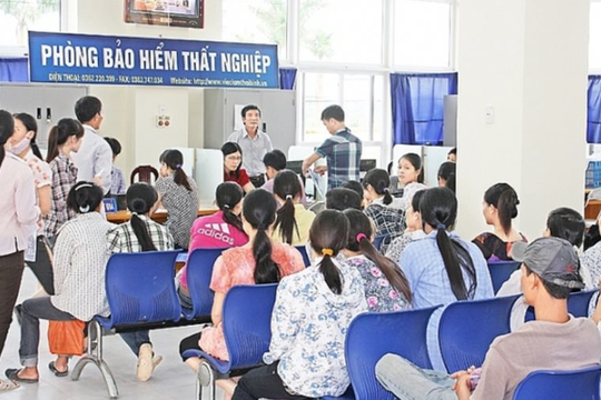 Thừa Thiên Huế: Giải quyết chính sách bảo hiểm thất nghiệp theo phương châm “đúng đối tượng, đúng chế độ và đúng thời hạn”