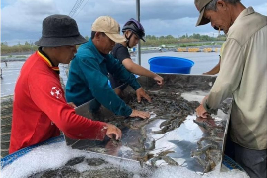 Cà Mau: 18/19 chỉ tiêu kinh tế - xã hội đạt và vượt kế hoạch