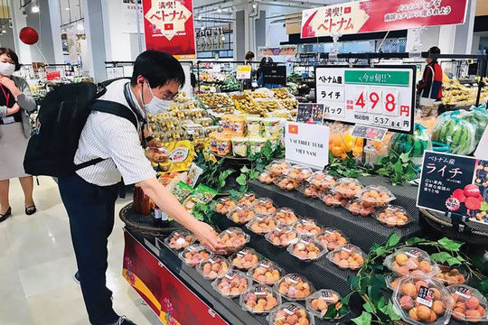 Hải Dương: ﻿﻿Chú trọng phát triển thương hiệu, đưa nông sản vươn xa trong chuỗi giá trị toàn cầu