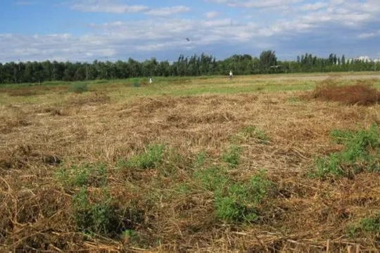 Bổ sung một số loại tài sản thuộc đối tượng sở hữu toàn dân