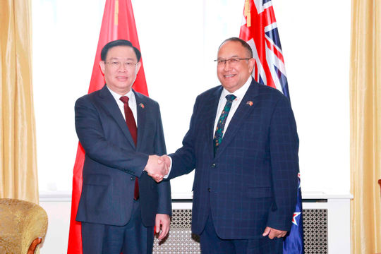 Đưa hợp tác kinh tế - thương mại - đầu tư thành động lực phát triển quan hệ hợp tác New Zealand - Việt Nam