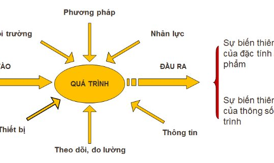 Đo lường hiệu quả của hoạt động sản xuất qua kiểm toán