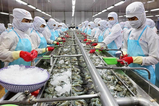 Xuất khẩu thủy sản lần đầu tiên vượt mốc 10 tỷ USD Xuất khẩu thủy sản lần đầu tiên vượt mốc 10 tỷ USD