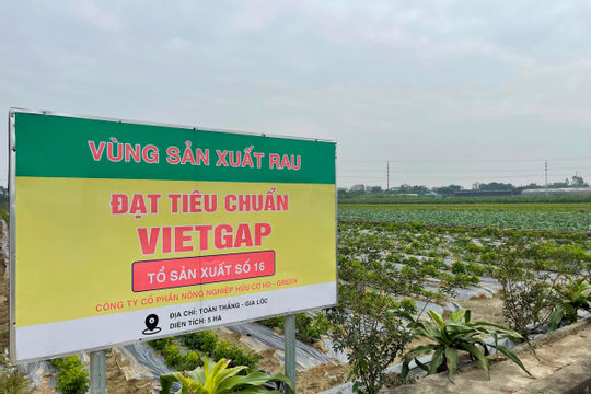 Phát triển nông nghiệp hữu cơ ở Hải Dương có nhiều tiềm năng đem lại đột phá Phát triển nông nghiệp hữu cơ ở Hải Dương có nhiều tiềm năng đem lại đột phá