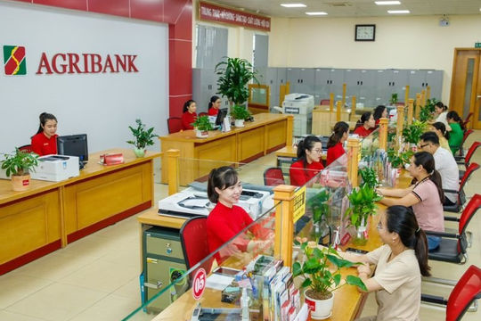 Các ngân hàng ưu tiên tín dụng cho Đồng bằng sông Cửu Long như thế nào?