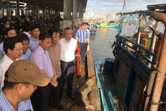 Bình Định: Quyết liệt triển khai các biện pháp chống khai thác IUU