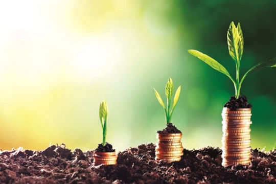 Quản lý rủi ro về môi trường trong hoạt động cấp tín dụng