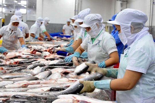 Tăng trưởng ấn tượng, ngành hàng thủy sản cần "xanh hóa" để phát triển bền vững