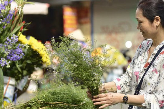 Nhớ hương Mùi già chiều 30 Tết