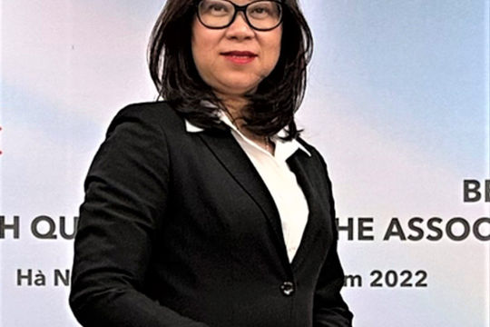 Vận dụng hướng dẫn quốc tế vào phân tích dữ liệu trong kiểm toán báo cáo tài chính tại Việt Nam