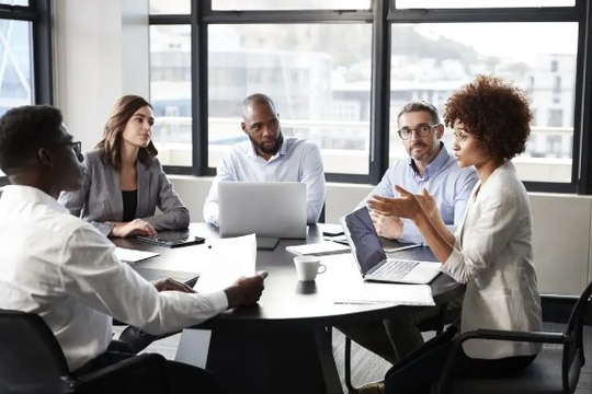 Hà Lan: Tổ chức khóa học trực tuyến về quản lý chất lượng kiểm toán