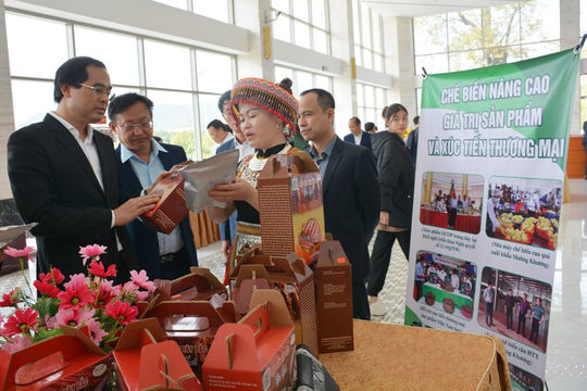 Lào Cai công nhận 31 sản phẩm đạt tiêu chuẩn OCOP 