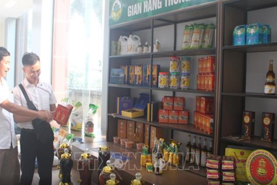 Thanh Hóa: Tổng thu ngân sách nhà nước tăng 12% so với cùng kỳ