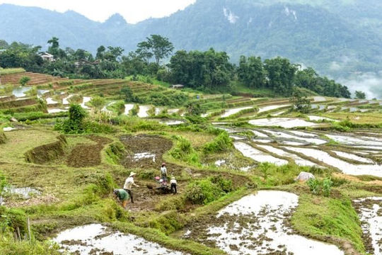 Tuyên Quang dự kiến đầu tư hơn 1.275 tỷ đồng để phát triển vùng đồng bào dân tộc thiểu số  