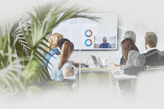 Hội thảo trực tuyến về những thách thức trong kiểm toán