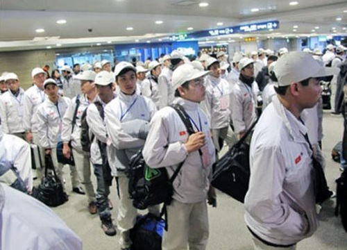 Dừng tuyển chọn lao động sang Hàn Quốc tại một số địa phương