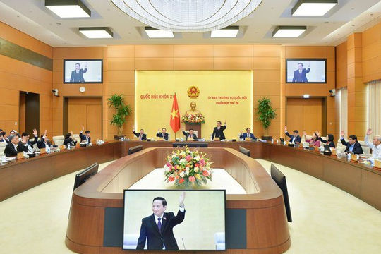 Tổ chức triển khai thi hành kịp thời, hiệu quả Pháp lệnh Xử phạt vi phạm hành chính trong lĩnh vực kiểm toán nhà nước Tổ chức triển khai thi hành kịp thời, hiệu quả Pháp lệnh Xử phạt vi phạm hành chính trong lĩnh vực kiểm toán nhà nước