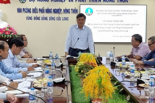 Hướng đến phát triển một triệu héc-ta lúa chất lượng cao vùng Đồng bằng sông Cửu Long