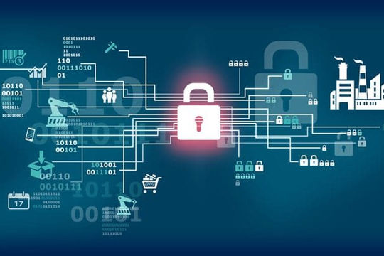 Phát hiện 3.000 trang web lừa đảo trực tuyến tại Việt Nam