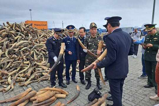 Thu nộp ngân sách hơn 179 tỷ đồng từ xử lý vi phạm lĩnh vực hải quan