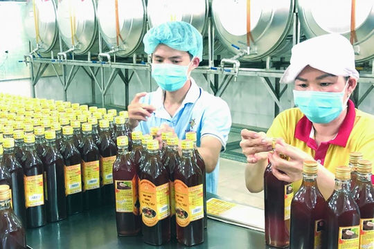 Ngành hải quan thu ngân sách giảm 17% Ngành hải quan thu ngân sách giảm 17%